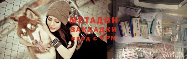 сатива Белокуриха