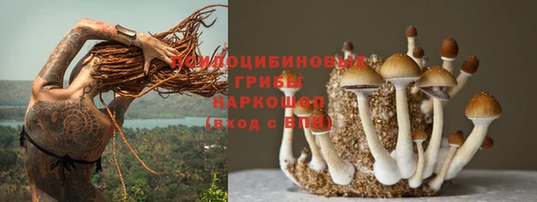 крисы Белоозёрский