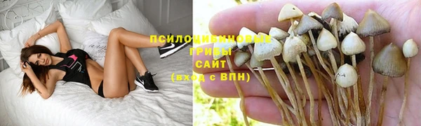 спайс Беломорск