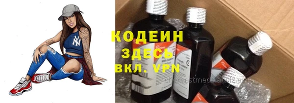 сатива Белокуриха