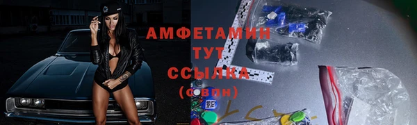 сатива Белокуриха