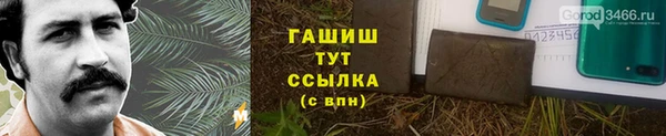 сатива Белокуриха