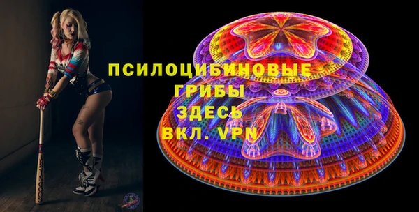 сатива Белокуриха