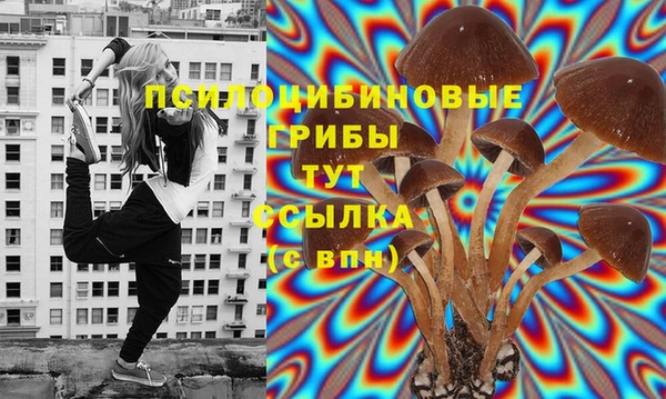 спайс Беломорск