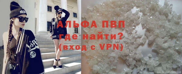 сатива Белокуриха