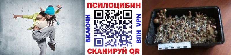 Псилоцибиновые грибы прущие грибы  Заозёрск 